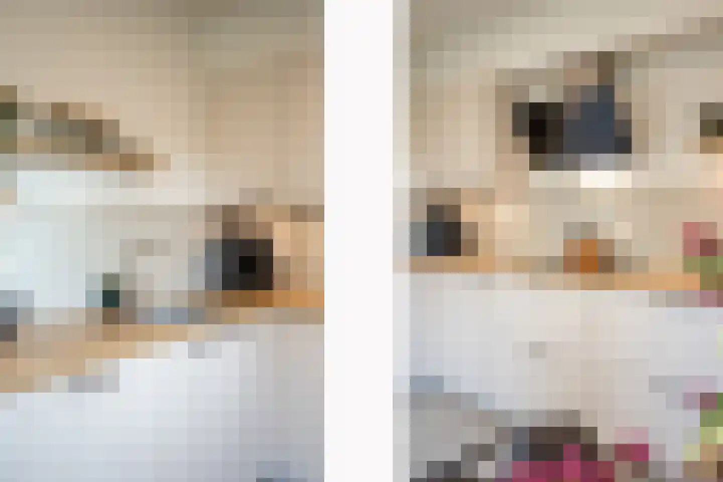 Oude Rijksweg Noord 44 Susteren thumbnail 18