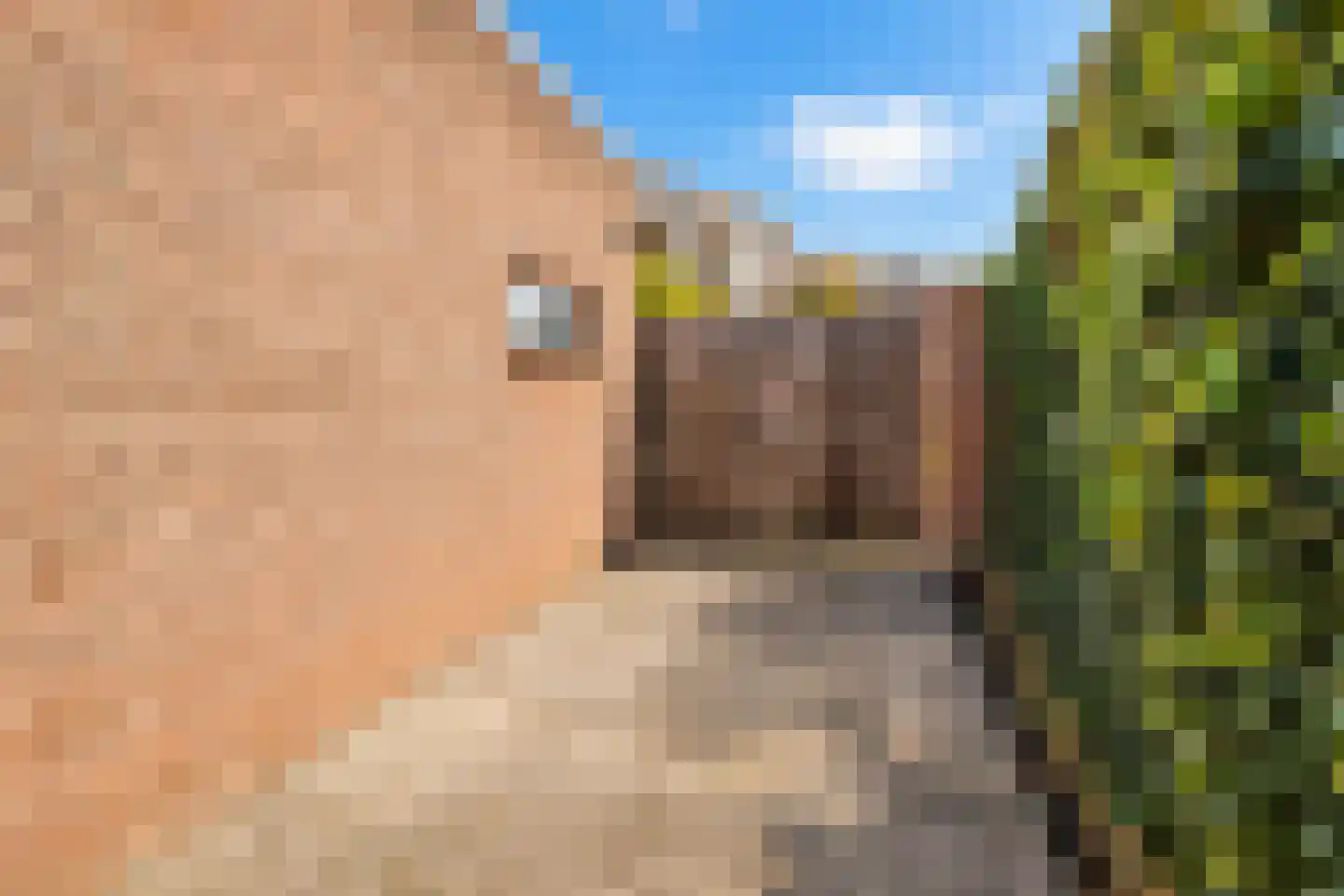 Oude Rijksweg Noord 44 Susteren thumbnail 33