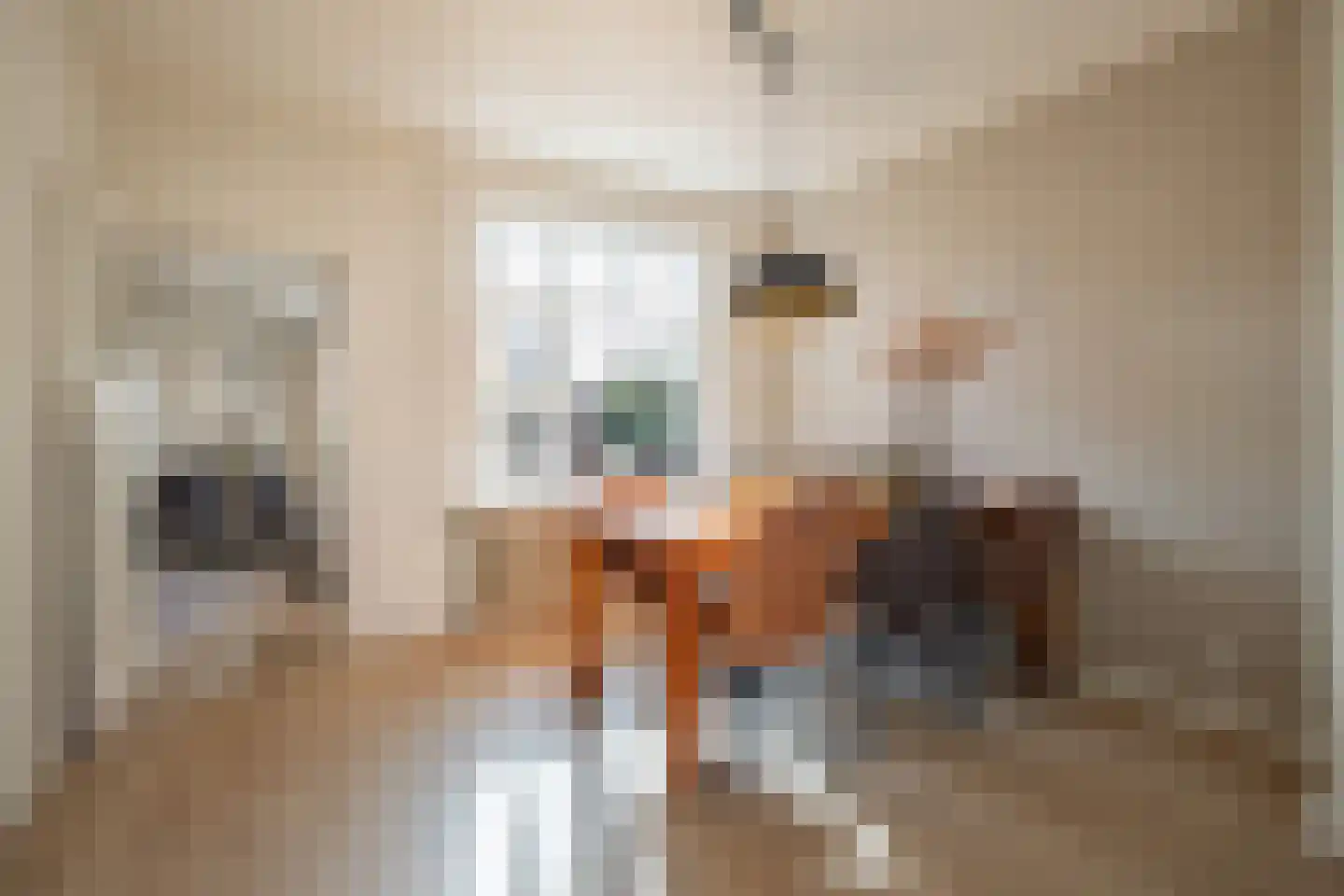 Oude Rijksweg Noord 44 Susteren thumbnail 5
