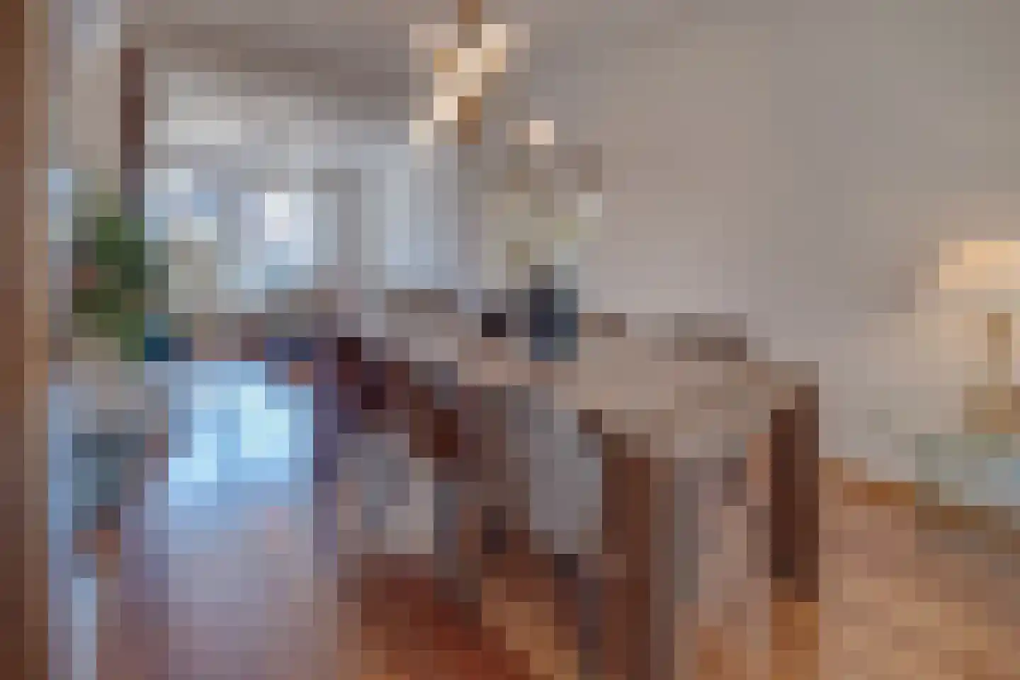 Oude Rijksweg Noord 51 Susteren thumbnail 18