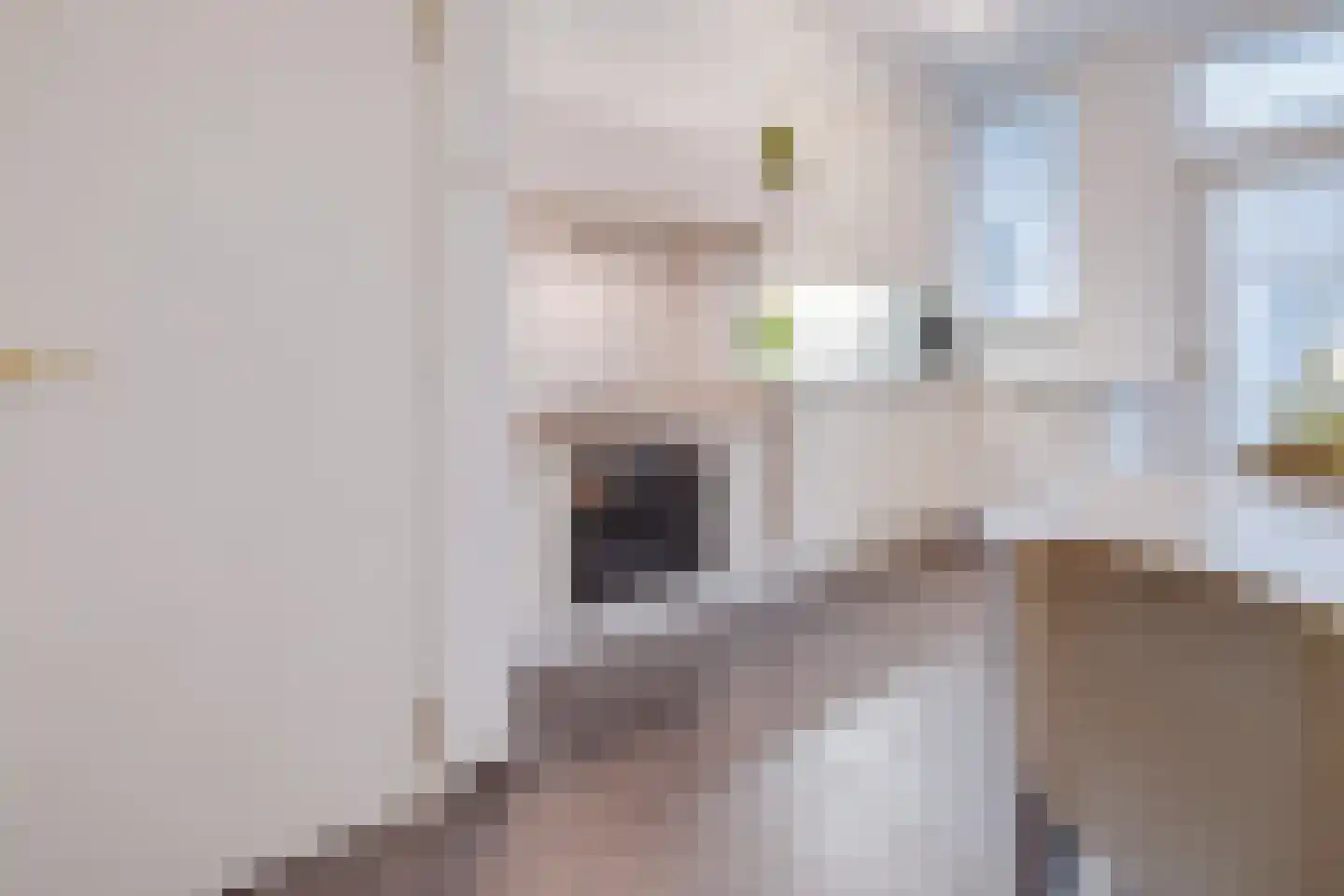 Oude Rijksweg Noord 51 Susteren thumbnail 23