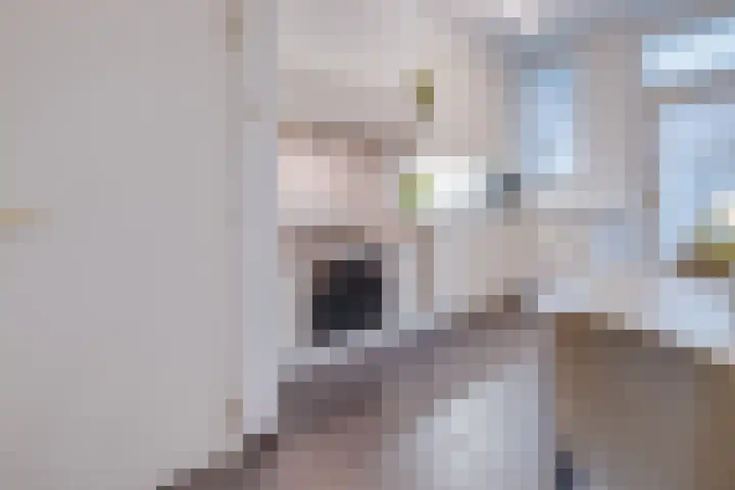 Oude Rijksweg Noord 51 Susteren thumbnail 24