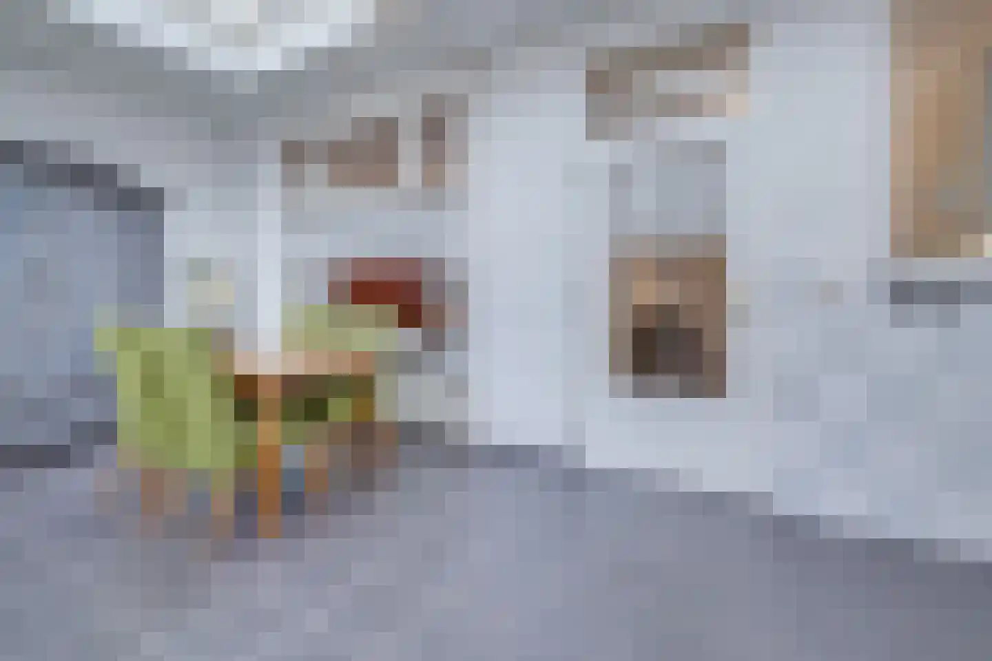 Oude Rijksweg Noord 51 Susteren thumbnail 28