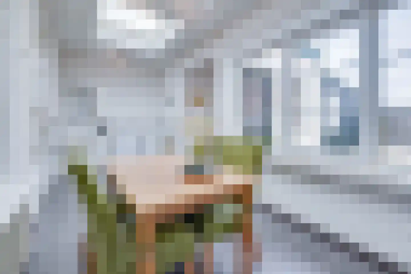 Oude Rijksweg Noord 51 Susteren thumbnail 30