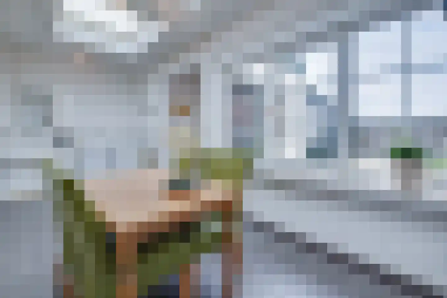 Oude Rijksweg Noord 51 Susteren thumbnail 31