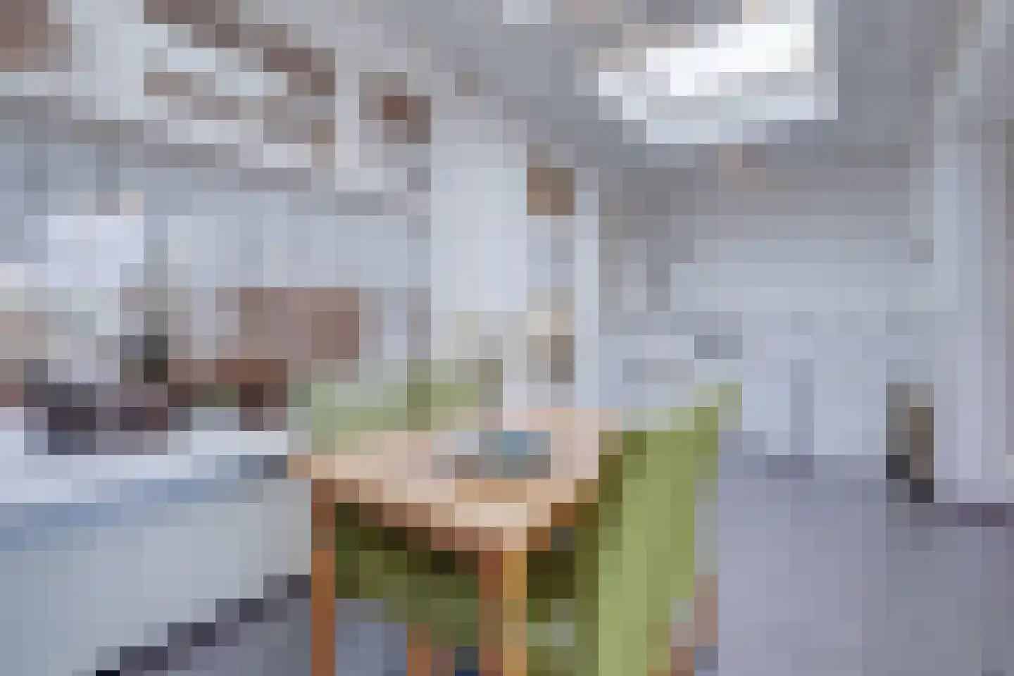 Oude Rijksweg Noord 51 Susteren thumbnail 32