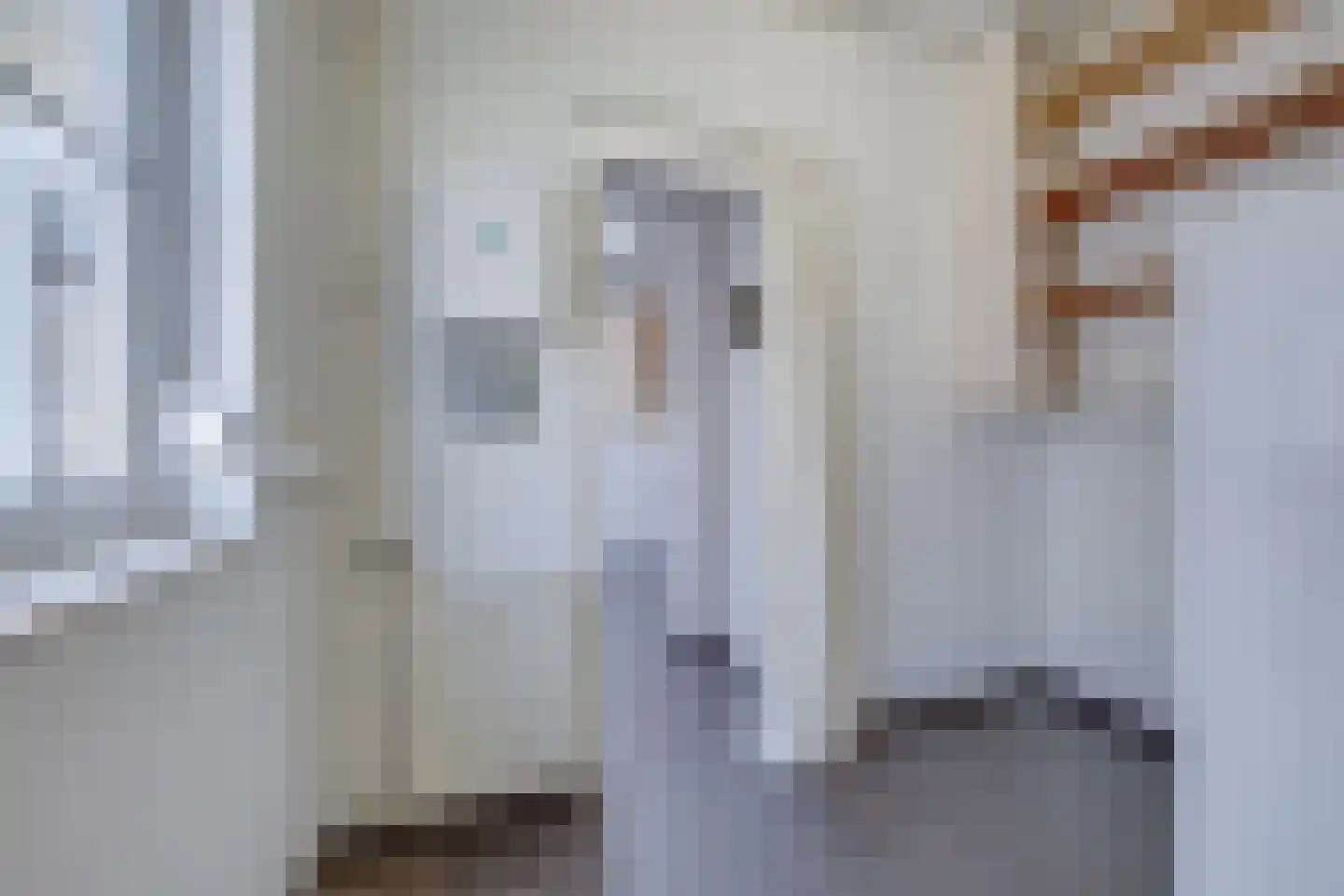 Oude Rijksweg Noord 51 Susteren thumbnail 37