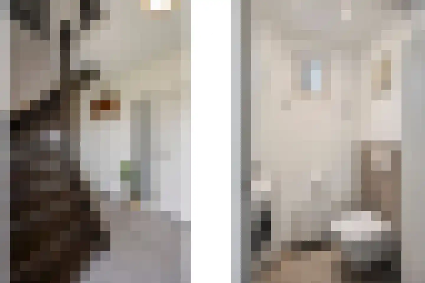 Oude Rijksweg Noord 8 C Susteren thumbnail 12