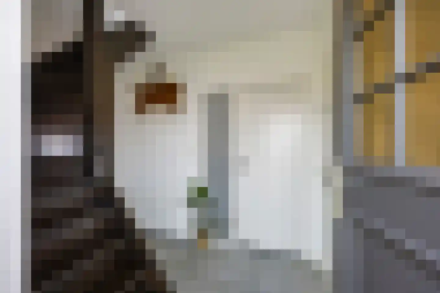 Oude Rijksweg Noord 8 C Susteren thumbnail 13