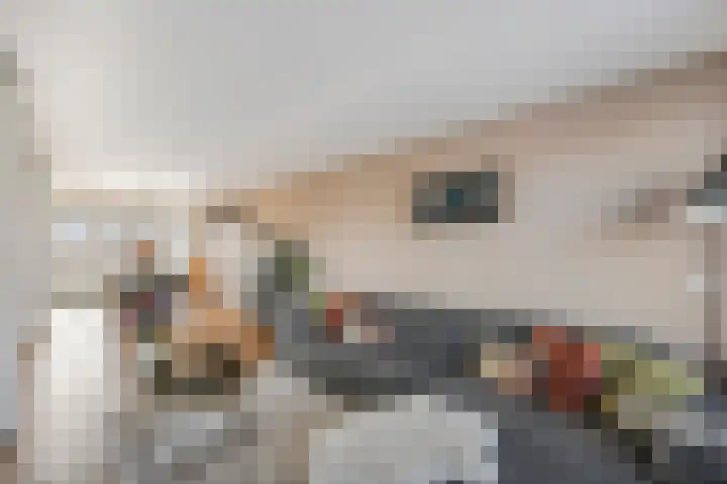 Oude Rijksweg Noord 8 C Susteren thumbnail 15