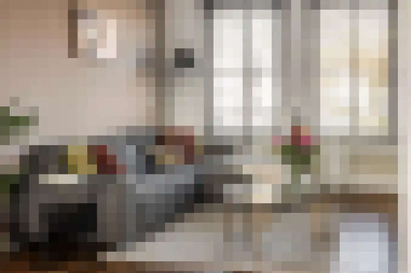 Oude Rijksweg Noord 8 C Susteren thumbnail 19