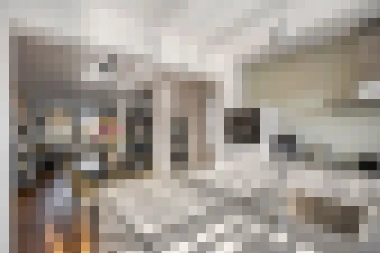 Oude Rijksweg Noord 8 C Susteren thumbnail 21