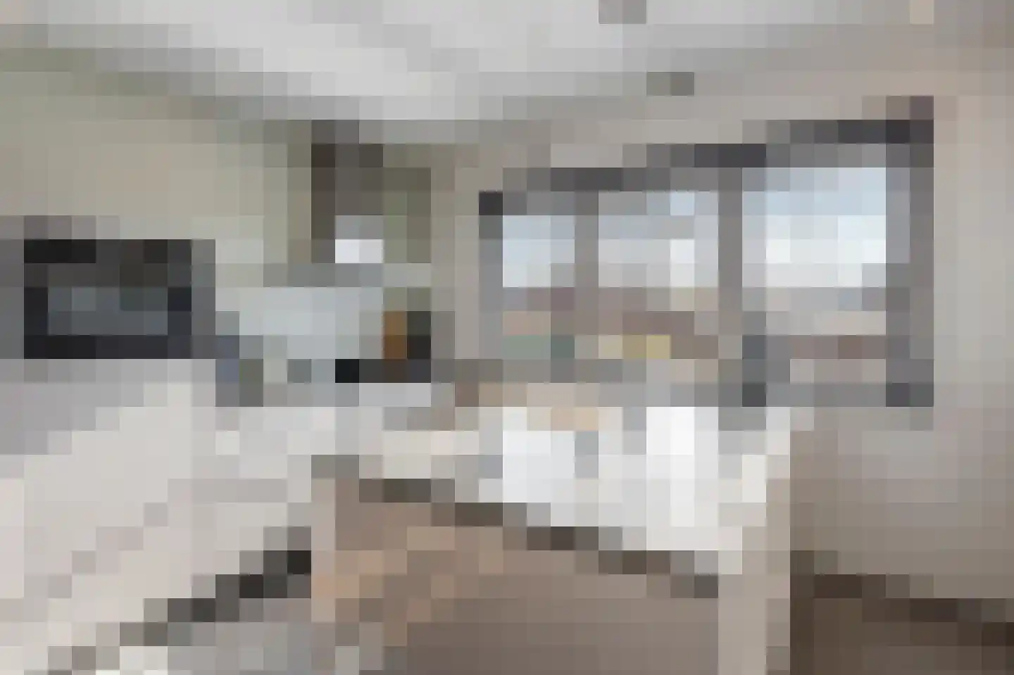Oude Rijksweg Noord 8 C Susteren thumbnail 27