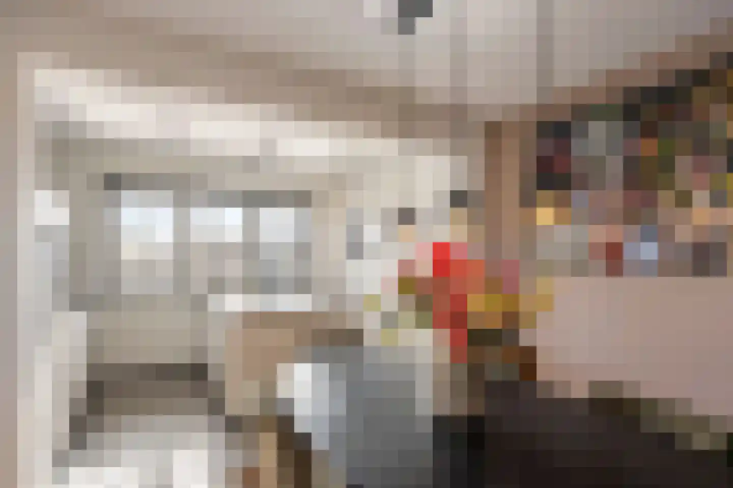 Oude Rijksweg Noord 8 C Susteren thumbnail 28