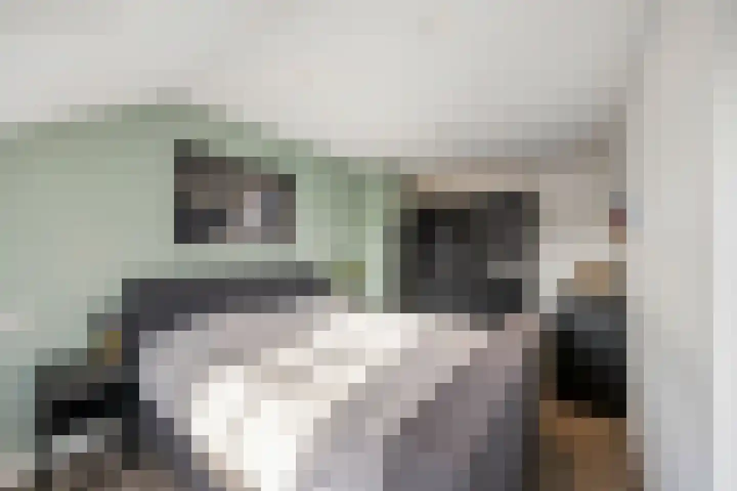Oude Rijksweg Noord 8 C Susteren thumbnail 34