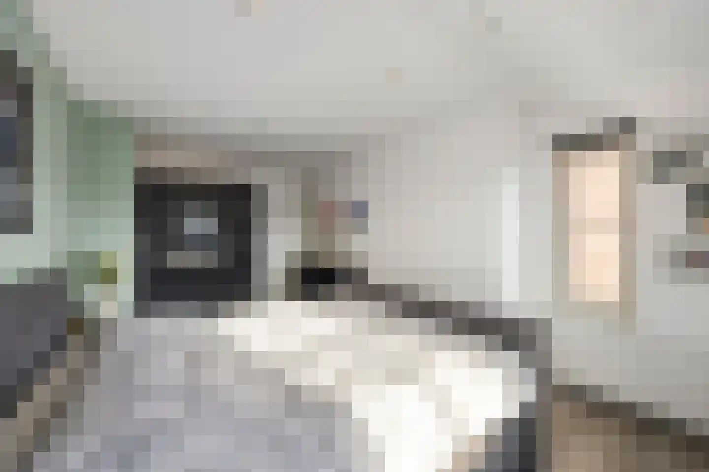Oude Rijksweg Noord 8 C Susteren thumbnail 35