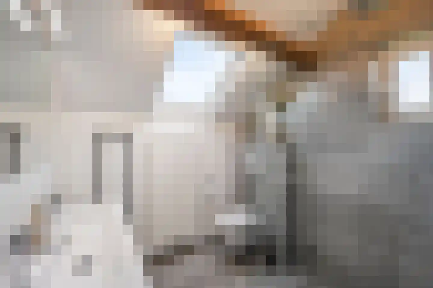 Oude Rijksweg Noord 8 C Susteren thumbnail 37