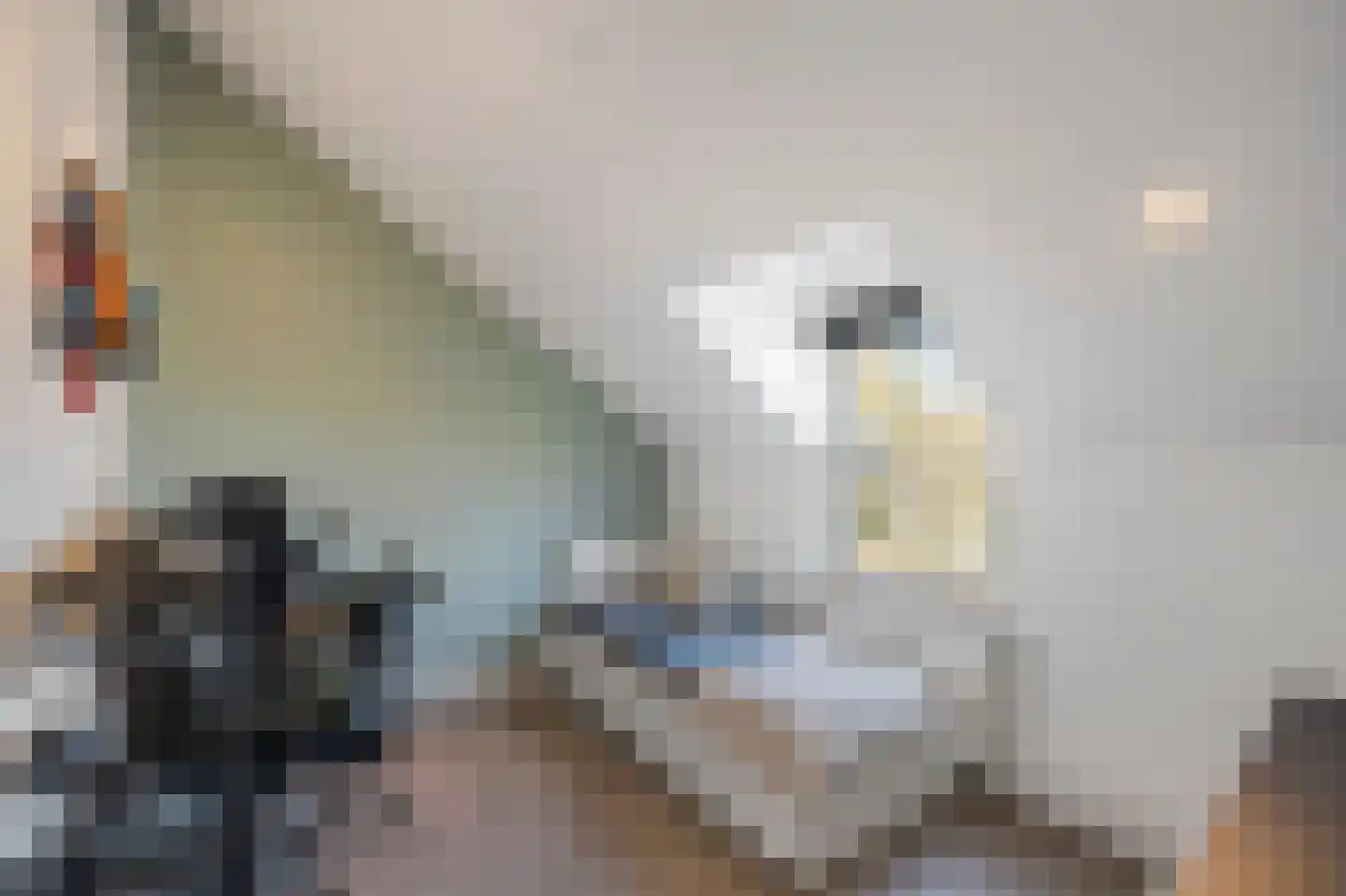 Oude Rijksweg Noord 8 C Susteren thumbnail 39
