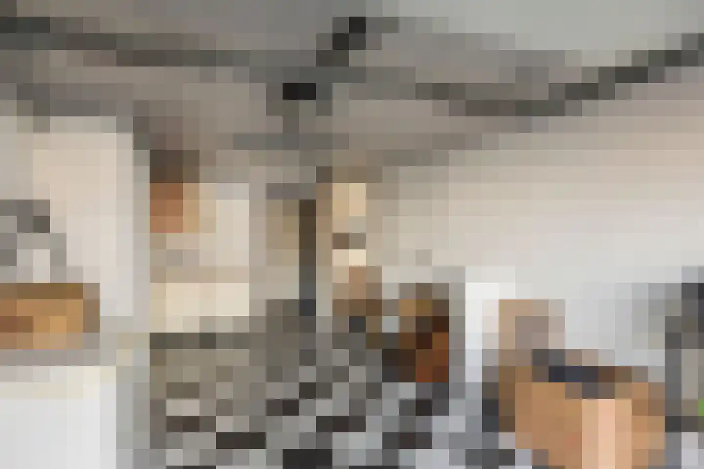 Oude Rijksweg Noord 8 C Susteren thumbnail 42