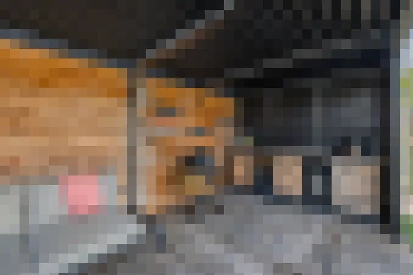 Oude Rijksweg Noord 8 C Susteren thumbnail 48