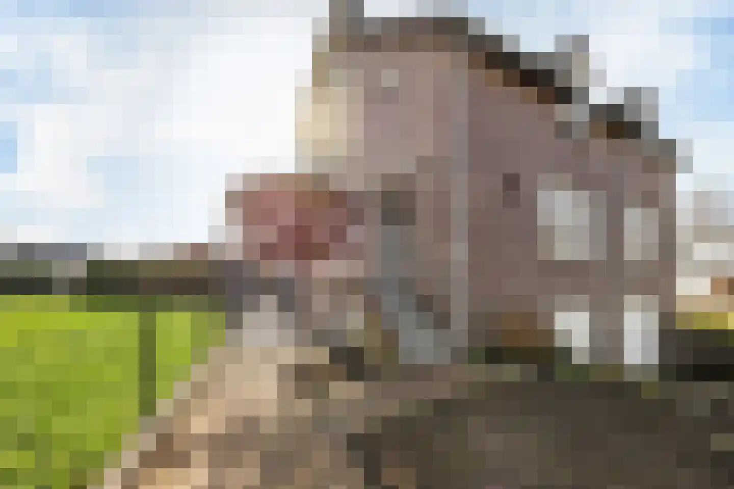 Oude Rijksweg Noord 8 C Susteren thumbnail 6