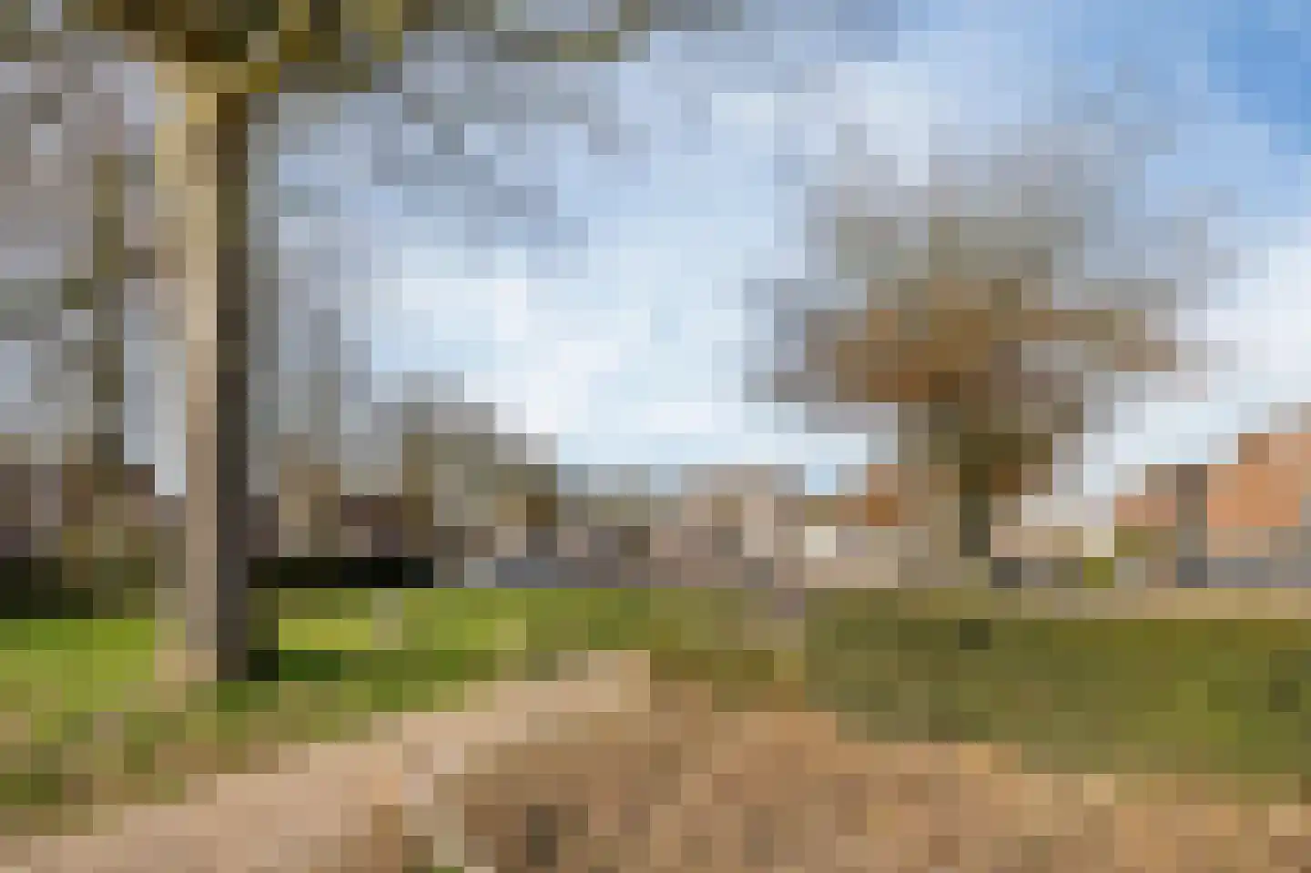 Oude Rijksweg Noord 8 C Susteren thumbnail 9