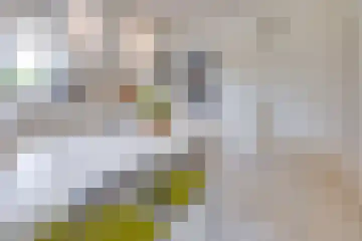 Oude Rijksweg Zuid 14 Susteren thumbnail 19