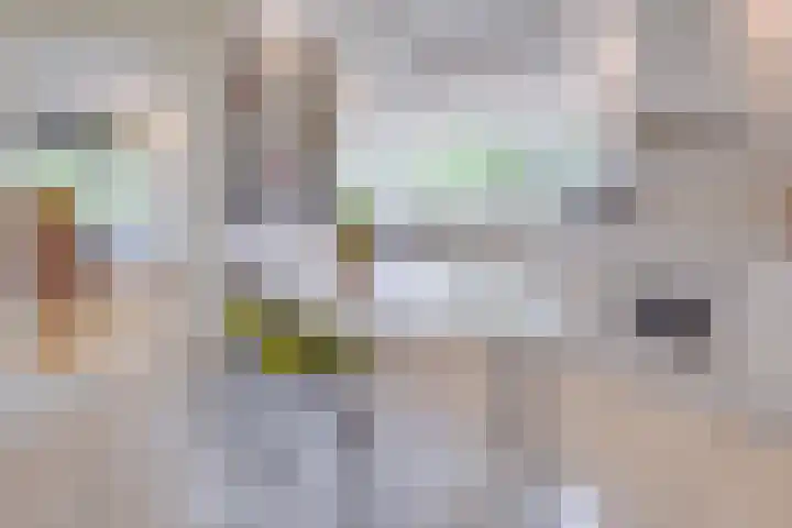 Oude Rijksweg Zuid 14 Susteren thumbnail 20