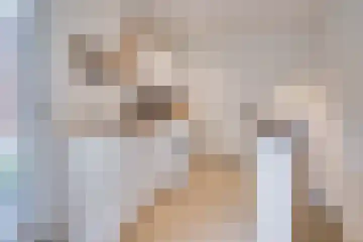 Oude Rijksweg Zuid 14 Susteren thumbnail 22