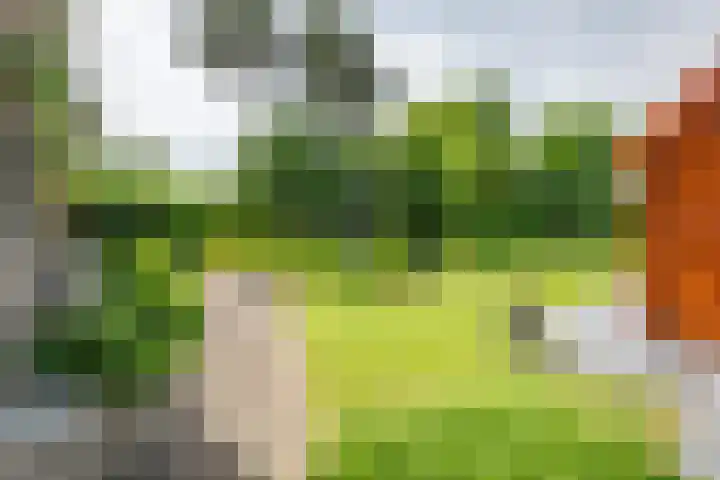 Oude Rijksweg Zuid 14 Susteren thumbnail 27
