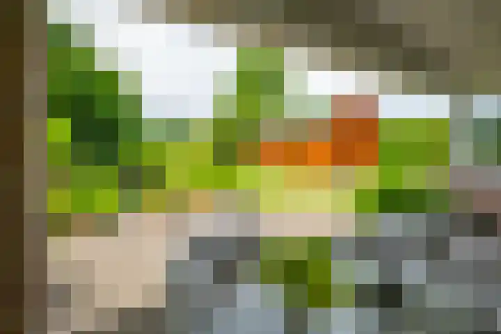 Oude Rijksweg Zuid 14 Susteren thumbnail 28