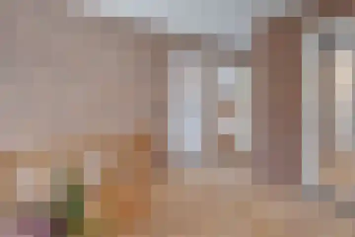 Oude Rijksweg Zuid 14 Susteren thumbnail 30