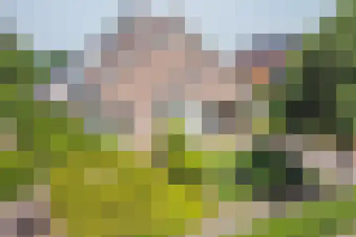 Oude Rijksweg Zuid 14 Susteren thumbnail 4