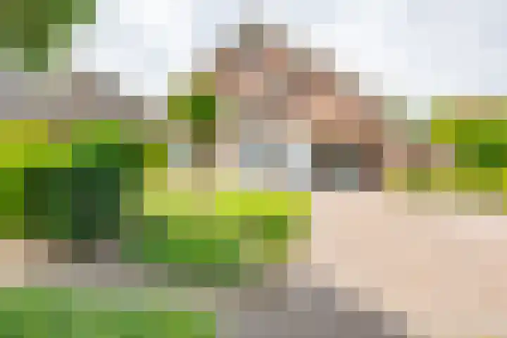 Oude Rijksweg Zuid 14 Susteren thumbnail 49