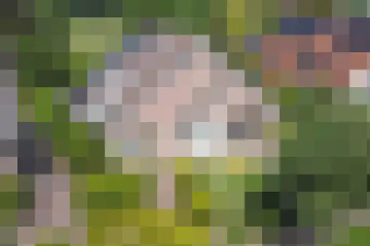 Oude Rijksweg Zuid 14 Susteren thumbnail 5