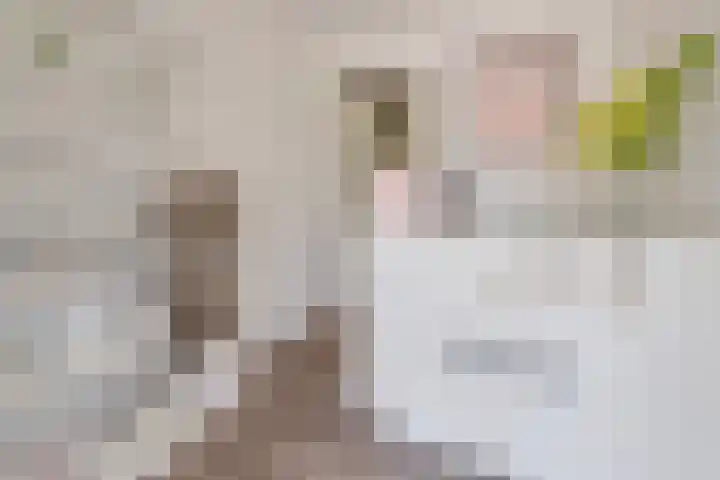 Oude Rijksweg Zuid 14 Susteren thumbnail 50