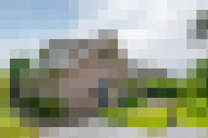Oude Rijksweg Zuid 14 Susteren thumbnail 55