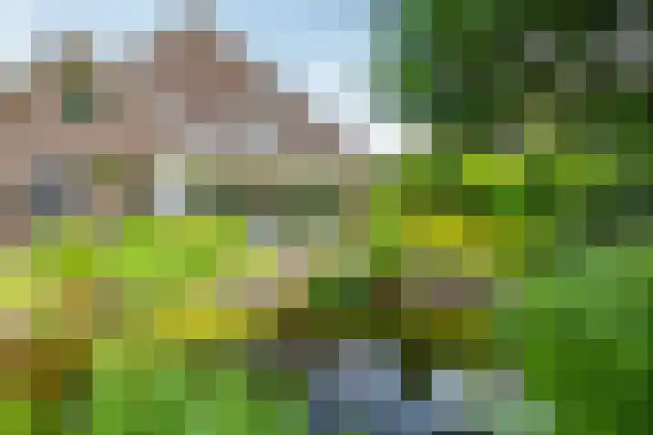 Oude Rijksweg Zuid 14 Susteren thumbnail 56