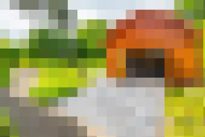 Oude Rijksweg Zuid 14 Susteren thumbnail 57
