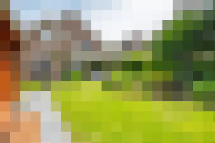 Oude Rijksweg Zuid 14 Susteren thumbnail 58