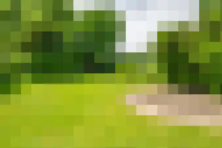Oude Rijksweg Zuid 14 Susteren thumbnail 59