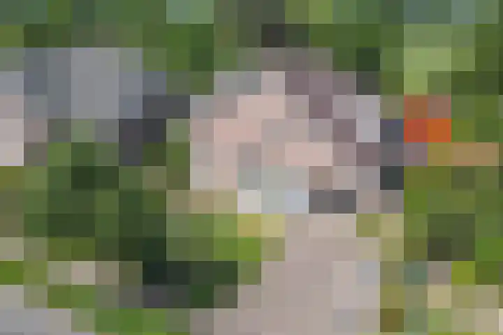 Oude Rijksweg Zuid 14 Susteren thumbnail 6