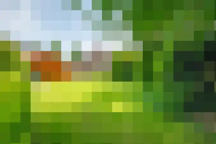 Oude Rijksweg Zuid 14 Susteren thumbnail 60