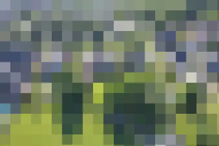 Oude Rijksweg Zuid 14 Susteren thumbnail 62