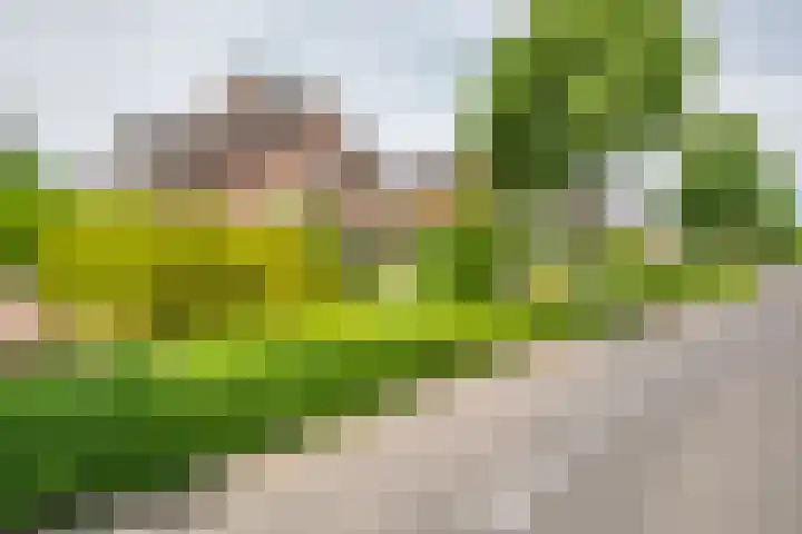 Oude Rijksweg Zuid 14 Susteren thumbnail 63