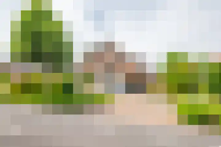 Oude Rijksweg Zuid 14 Susteren thumbnail 64