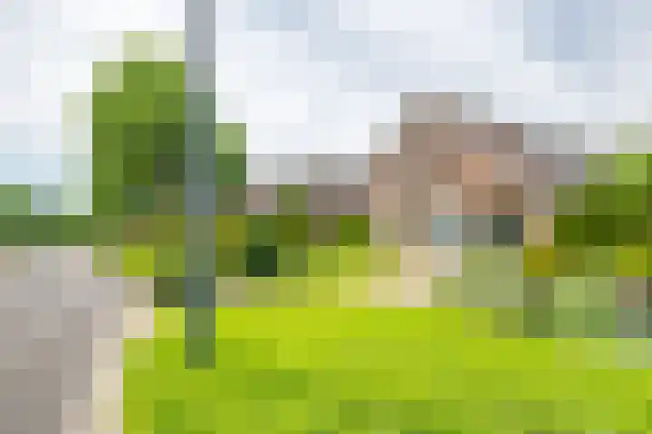Oude Rijksweg Zuid 14 Susteren thumbnail 65