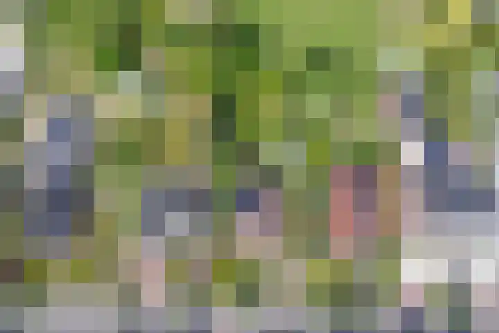 Oude Rijksweg Zuid 14 Susteren thumbnail 66