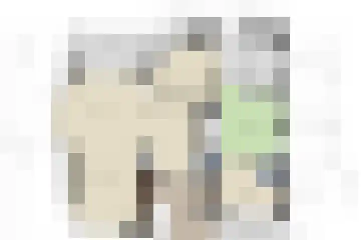 Oude Rijksweg Zuid 14 Susteren thumbnail 67