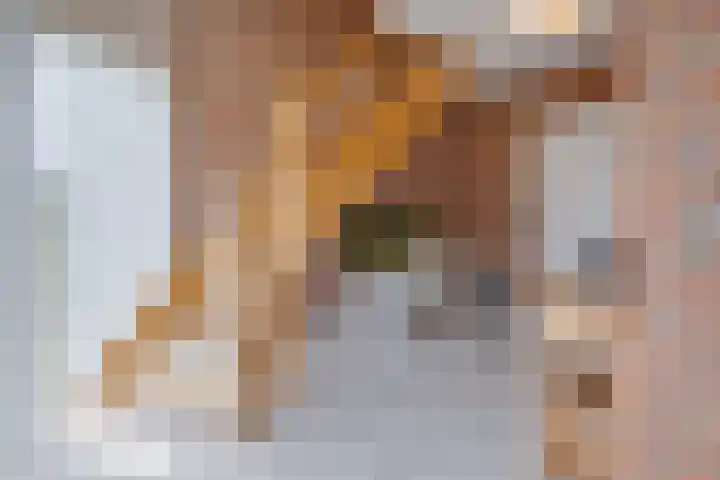 Oude Rijksweg Zuid 14 Susteren thumbnail 7
